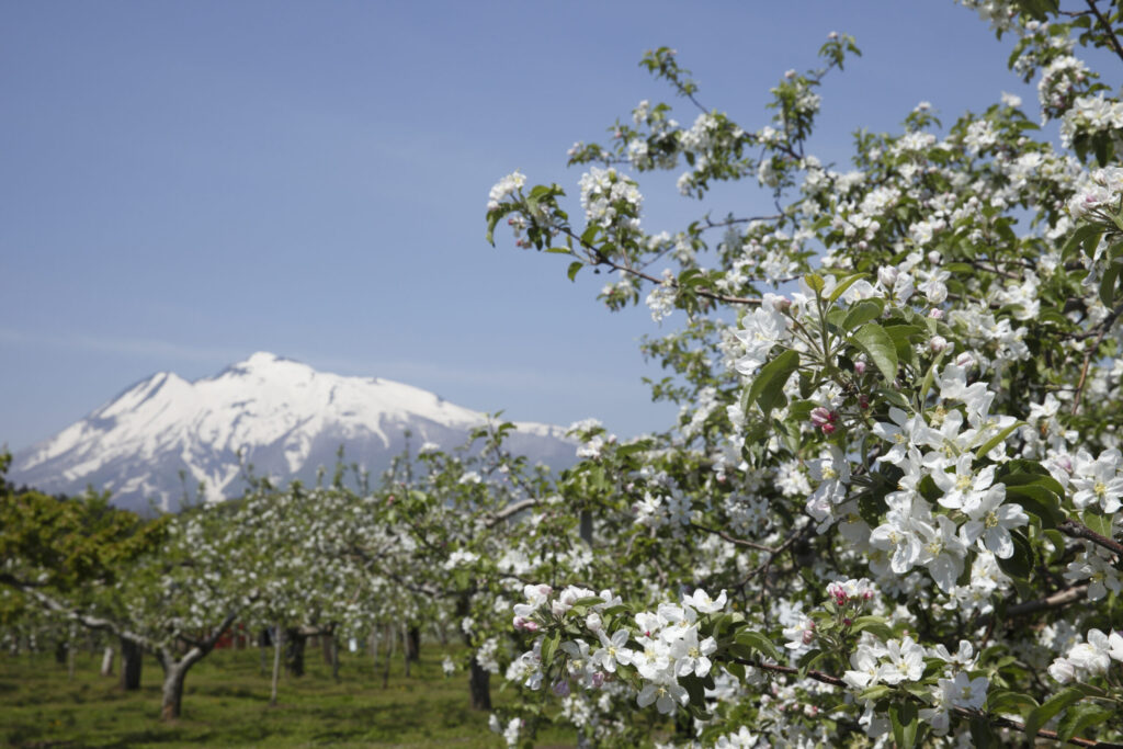 （弘前）部屋探し宿泊